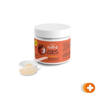 Vini mini my first hazelnoot follow-up kit