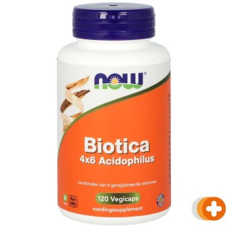 Now biotica 4x6 acidophilus
