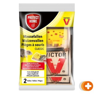 Protect home muizenvallen hout