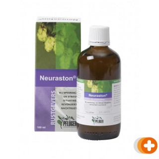 Pfluger neuraston