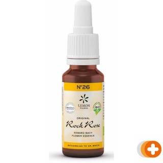 Bach no.26 rock rose