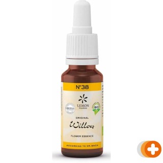 Bach no. 38 willow