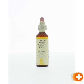 Bach flower remedies gaspeldoorn 13