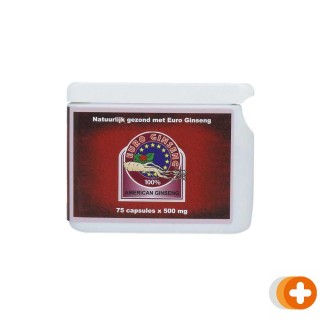 Euro ginseng american