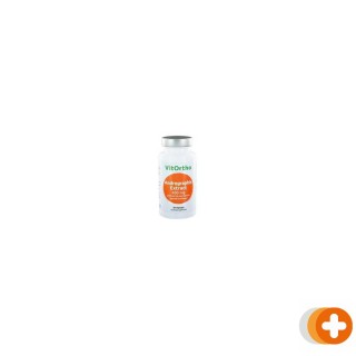 Vitortho andrographis extract 400mg capsules