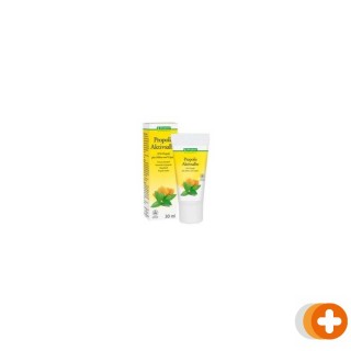 Bergland propolis zalf actief