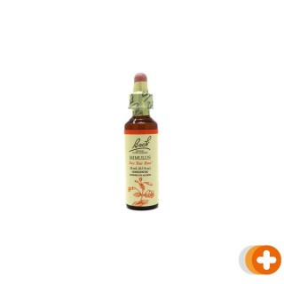 Bach flower remedies maskerbloem