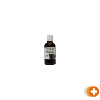 Natura sanat uncaria tomentosa/cat's claw