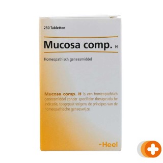 Heel mucosa compositum h tabletten