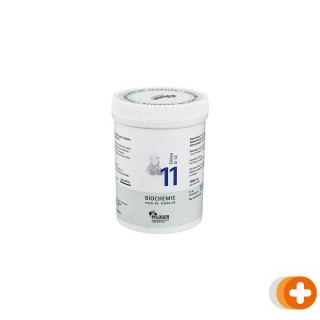 Pfluger celzout 11 silicea d12 tabletten