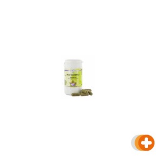 Holisan meshashringi capsules