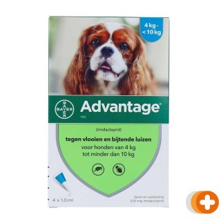 Advantage hond 100
