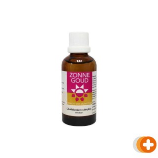 Zonnegoud chelidonium simplex