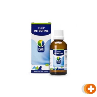 Puur natuur intestine