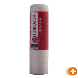 Jacob hooy lippenbalsem echinacea