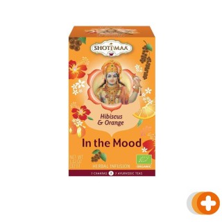 Shoti maa thee in the mood
