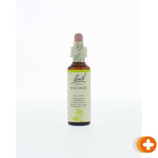 Bach flower remedies hondsroos 37