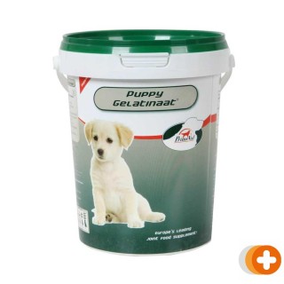 Primeval puppy gelatinaat