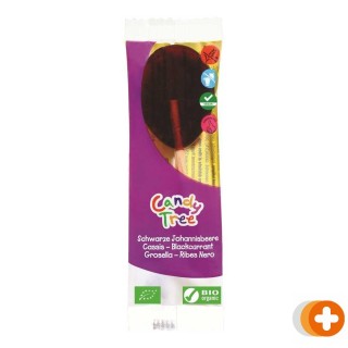 Candy tree cassis lolly