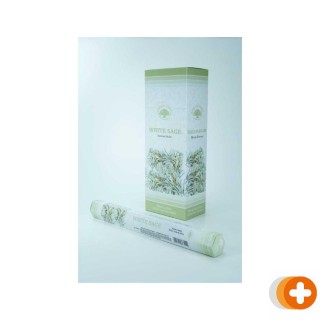 Green tree wierook white sage