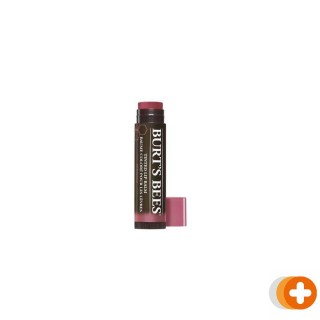 Burt's bees tinted lipbalm hibiscus