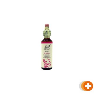 Bach flower remedies iep 11