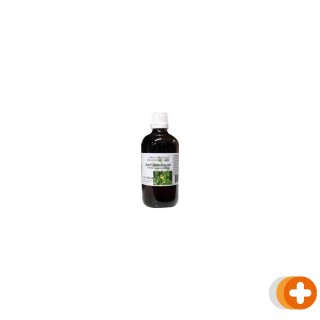 Natura sanat hypericum perforatum/sint janskruid