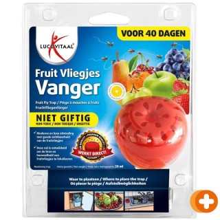 Lucovitaal fruitvliegjes vanger