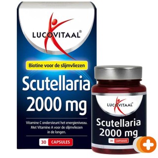 Lucovitaal scutellaria 2000mg