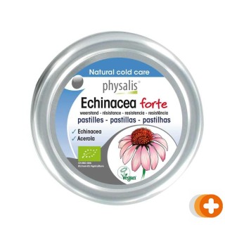 Physalis echinacea forte