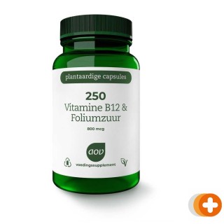 Aov 250 vitamine b12 & foliumzuur vegacaps