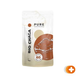 Pure mushroom chaga bio