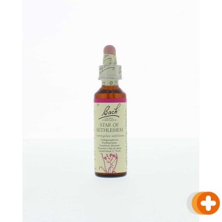 Bach flower remedies vogelmelk 29