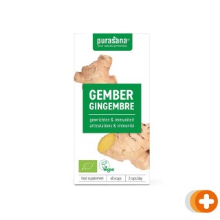 Purasana gember 250mg biologisch