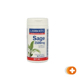 Lamberts salie