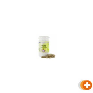 Holisan ajowan capsules