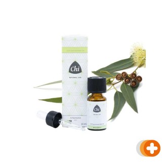 Chi eucalyptus radiata etherische olie bio