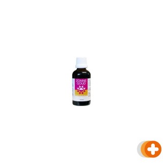 Zonnegoud thymus simplex