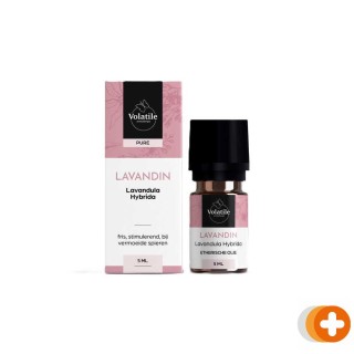 Volatile lavandin lavandula super