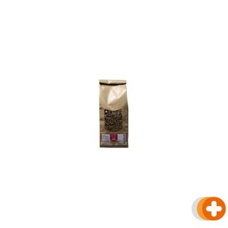 Zonnegoud solidago complex thee