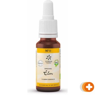 Bach no.11 elm