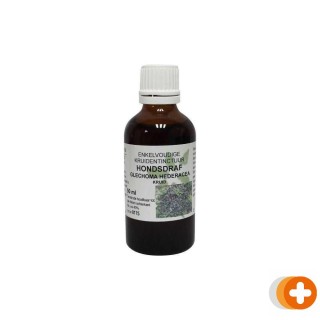 Natura sanat glechoma hederacea/veronica