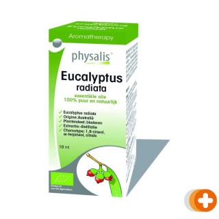 Physalis aromatherapy eucalyptus radiata essentiele olie