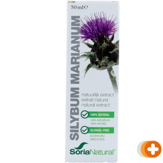 Soria natural silybum marianum