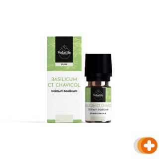 Volatile basilicum ocimum basilicum