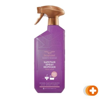Bruynzeel sanitairreinigerspray  fresh wood