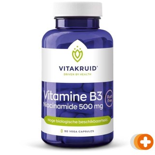 Vitakruid b3 niacinamide 500mg capsules