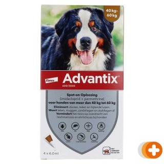 Advantix hond 600/3000 spot-on solution