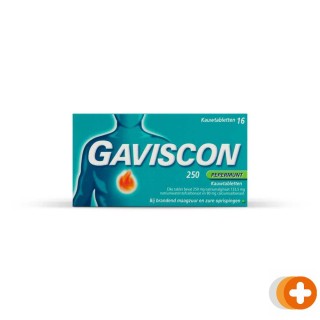 Gaviscon 250 pepermunt kauwtabletten